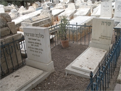 שרה אהרונסון - הקבר